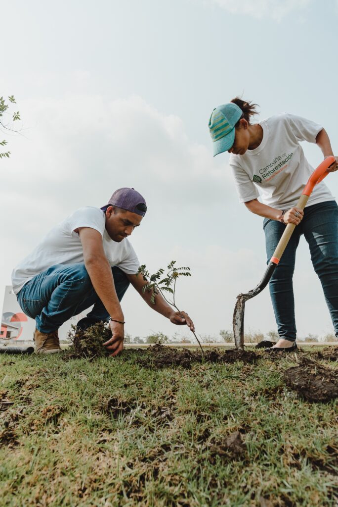 Advance Real Estate realiza Jornada de Reforestación en Querétaro La