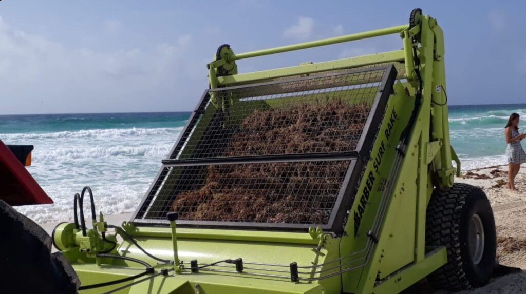 Daniel Madariaga Sargazo Sustentable