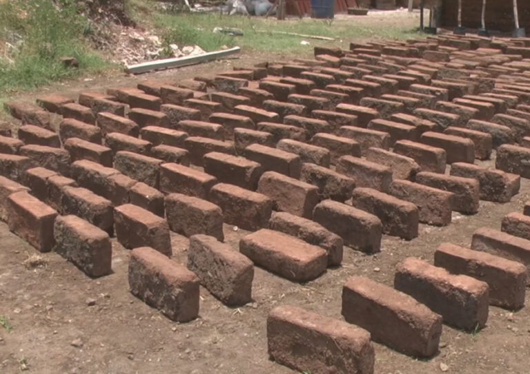 Ladrillo sargazo construcción Daniel Madariaga