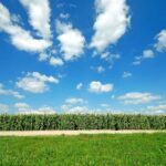 De acuerdo con Rodrigo Besoy las Oficinas Familiares apuntan ahora a inversiones en campos agrícolas.