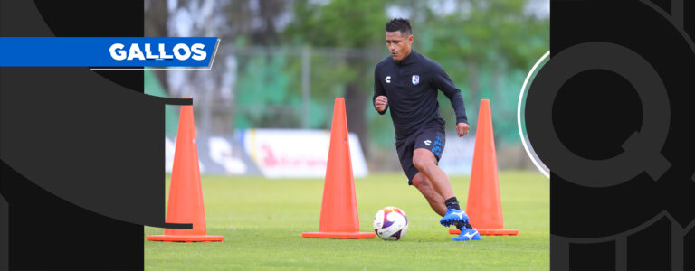 Osvaldo-GALLOS-BLANCOS-la-voz-de-Querétaro