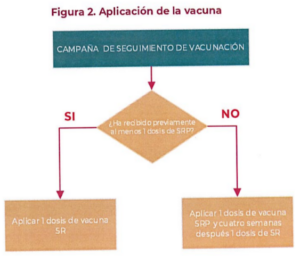 SarampionRubeola-Figura2-la-voz-de-Querétaro