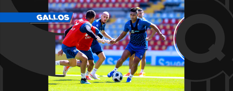 Osvaldo-Martínez-gallos-blancos-Querétaro-la-voz