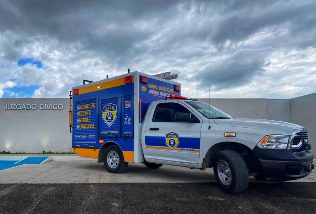 CAAM-El-Marqués-denunciará-por-muerte-de-caninos-en-Calamanda-la-voz-de-Queretaro