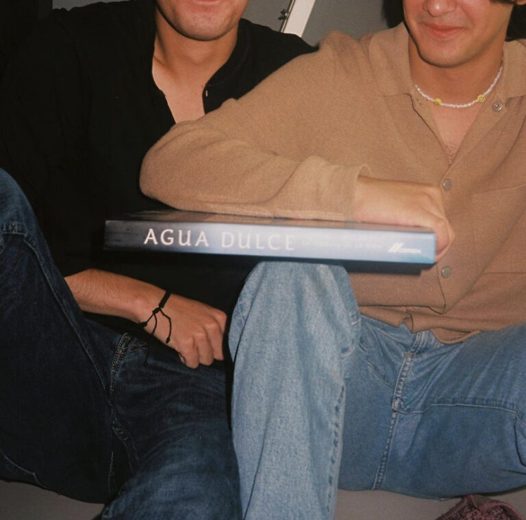 Alex y Emilio, proyecto Aguadulce