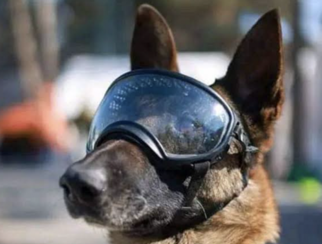 Proteo perdió la vida en Turquía mientras cumplía con su deber.