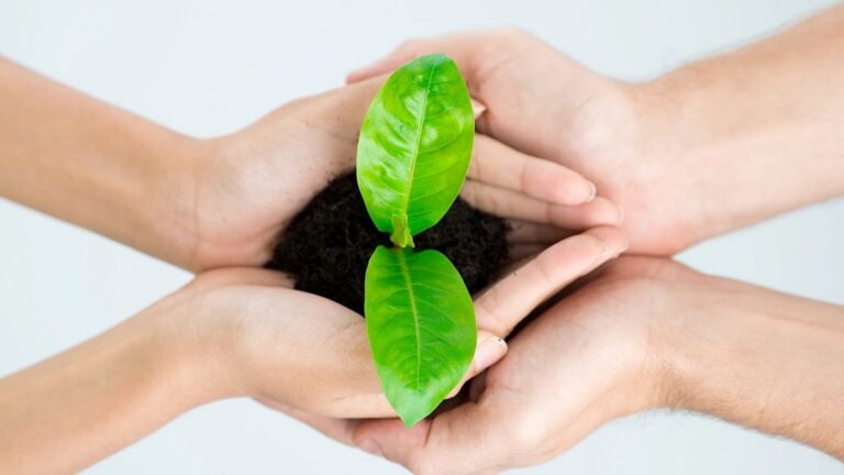 Corporativo kosmos realiza acciones sustentables