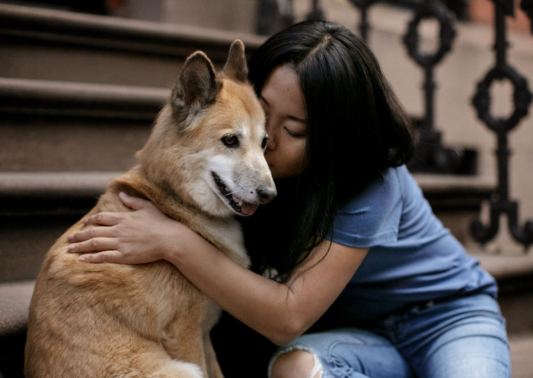 Es importante promover la cultura de la adopción de mascotas.