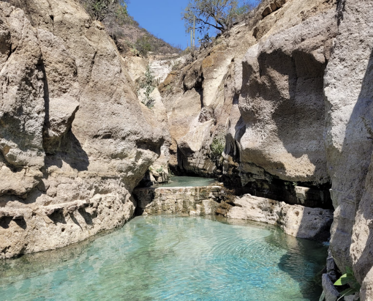 Una mirada a "El Aguacate"