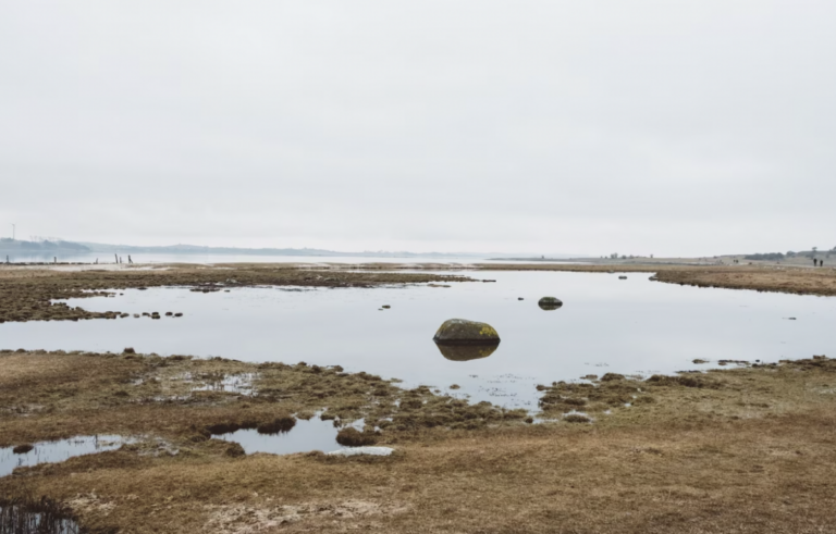 Mejoran municipios queretanos con respecto a su nivel de sequía.