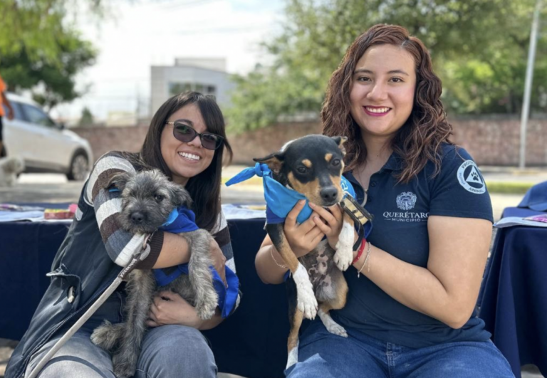 En Querétaro hay 10 parques para perros y gatos.
