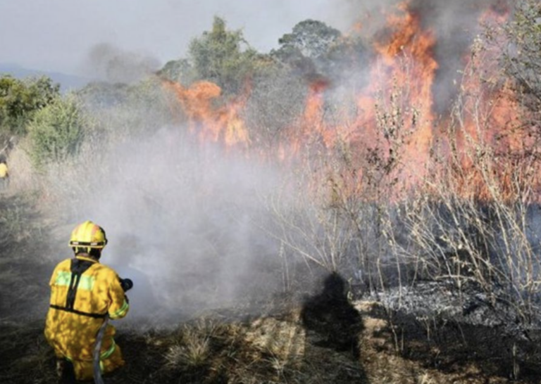 Del 1 de enero al 27 de julio de 2023 han ocurrido 26 incendios en Querétaro.