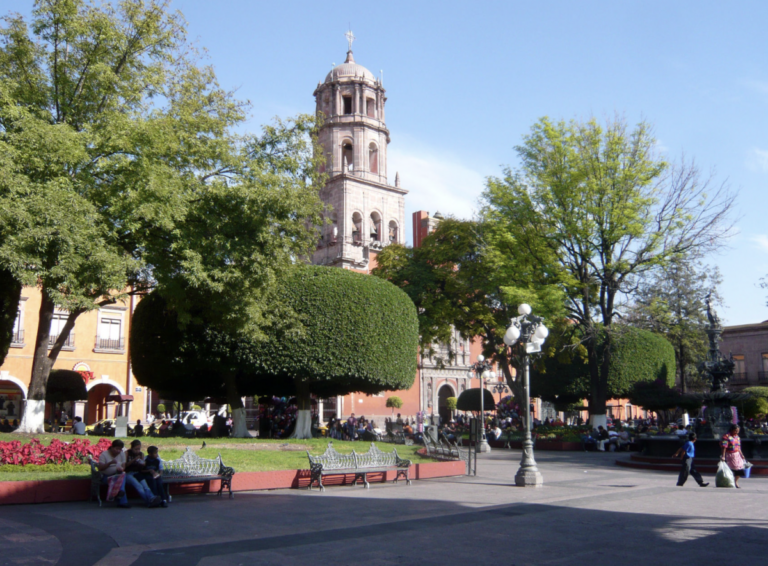 Apuestan por mantener las plazas públicas limpias para evitar la proliferación de ratas.