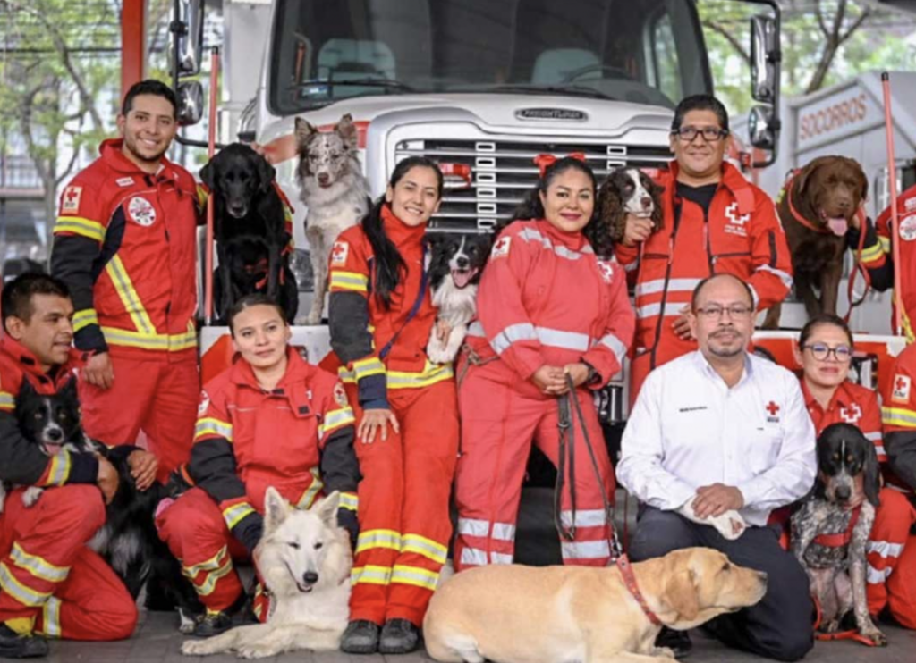 Athos será el nombre de la nueva escuela para "lomitos" de la Cruz Roja.