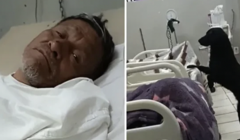 El perro ha despertado el interés de las personas.