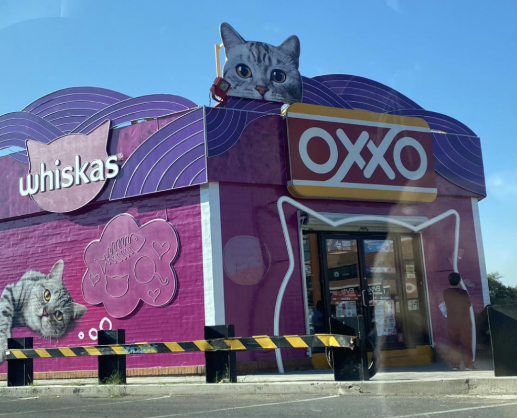Querétaro es hogar del único Micho Oxxo del país.