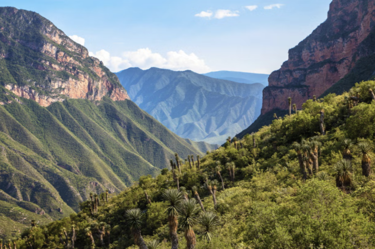 La Sierra Gorda de Querétaro