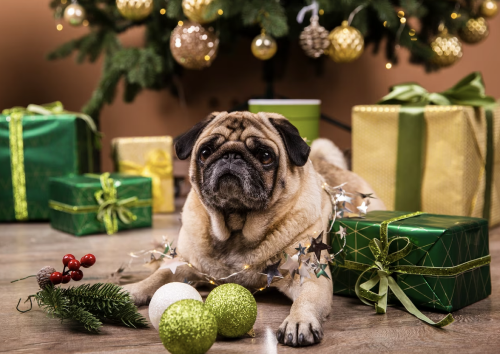 A los perros suele afectarles mucho la pirotecnia.