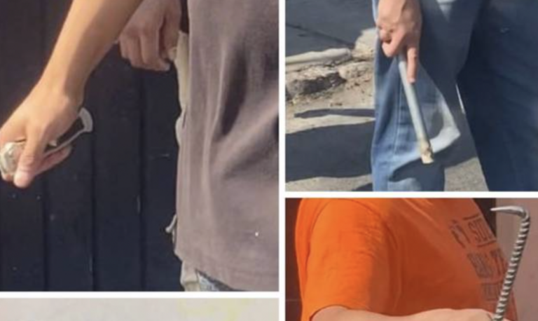 La banda delictiva que aterroriza a los habitantes de las colonias del Centro Histórico de Querétaro está conformada por sujetos con antecedentes penales.