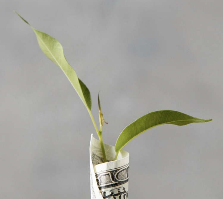 La emisión de deuda es una forma de financiación que consiste en la emisión de títulos financieros que prometen un pago futuro a cambio de un precio.