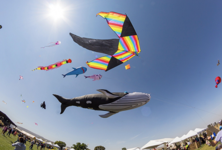 Alistan nueva edición de la Fiesta de los Papalotes en Tequisquiapan.