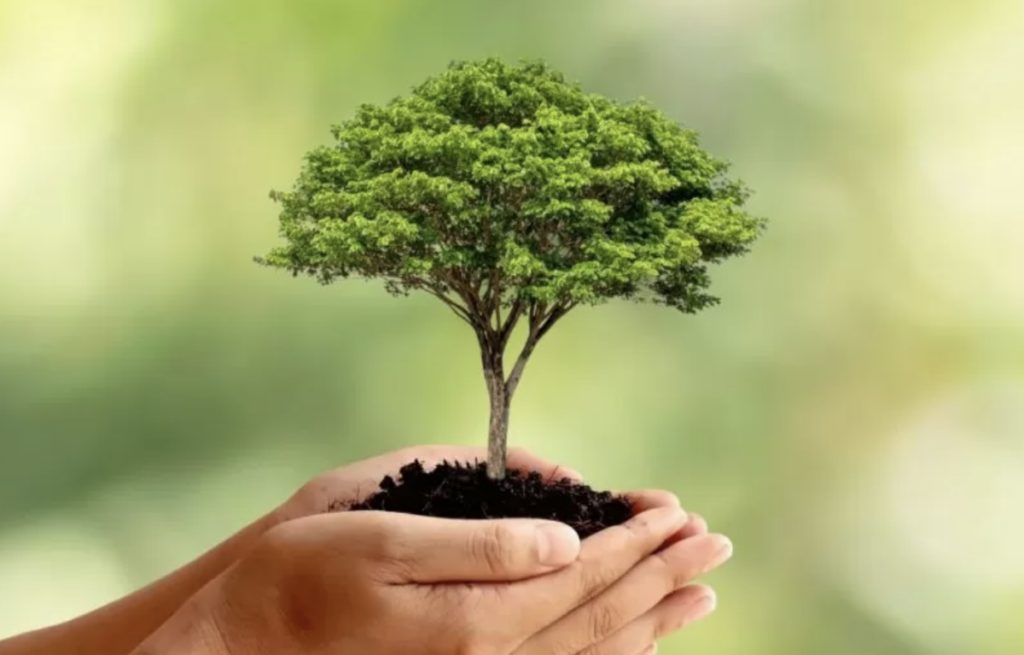 Activistas en Querétaro impulsan agendas ambientales para candidatos.