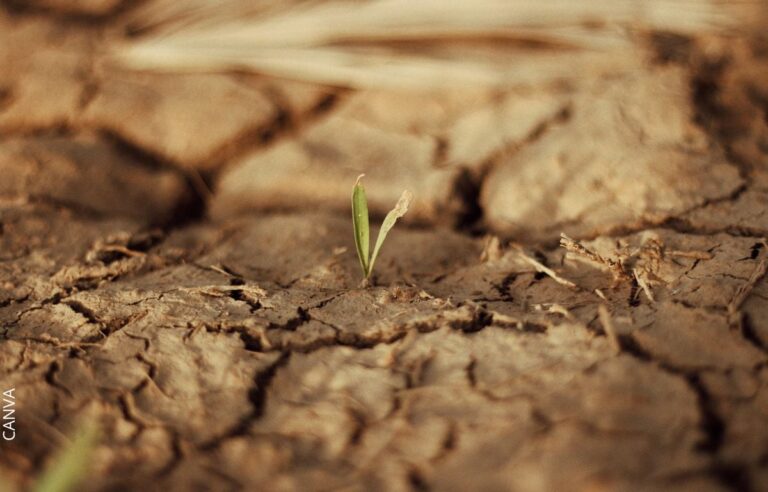 México enfrenta alto estrés hídrico en América Latina