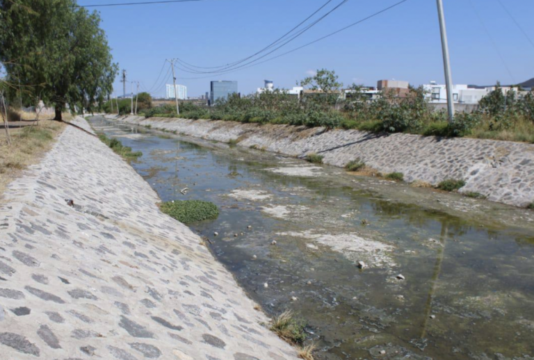 El Río Jurica se está contaminando, advierten.