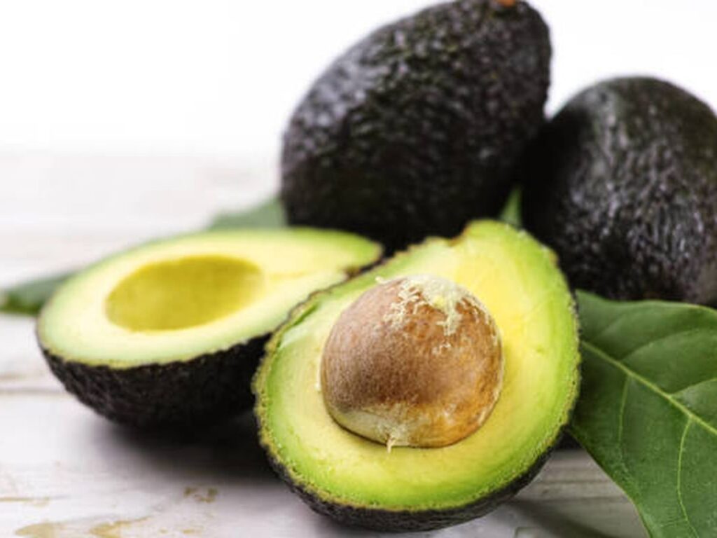 Luis Doporto Alejandre: Aguacate mexicano eleva liderazgo mundial