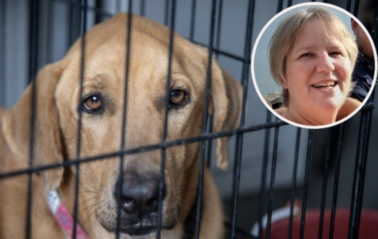 Los balazos ahuyentaron a la perrita del lugar del asesinato.