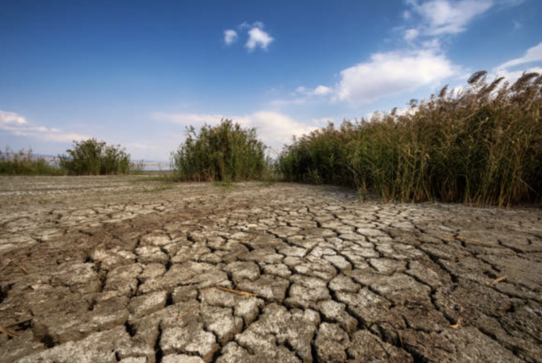 Ante impacto de la sequía emiten declaratoria de emergencia en Querétaro.