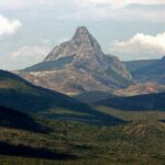 Urge restaurar los ecosistemas para mitigar su impacto