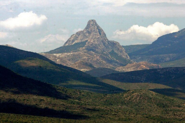 Urge restaurar los ecosistemas para mitigar su impacto