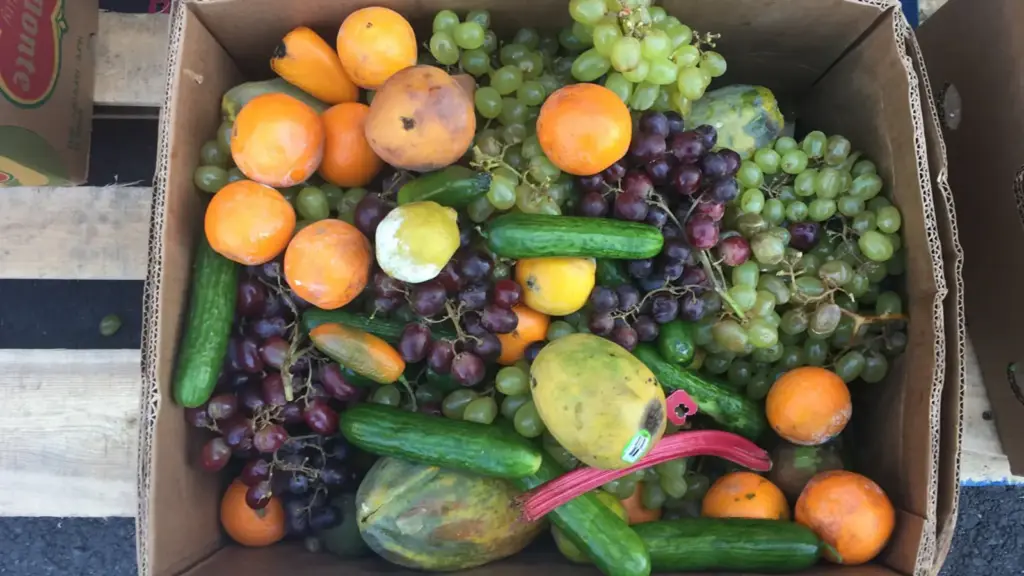 Corporativo Kosmos impulsa reciclaje en industria alimentaria