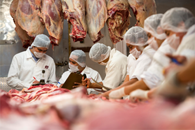 Corporativo Kosmos logra ISO 14001, mejorando sostenibilidad