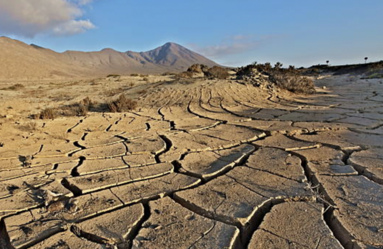 En el último año las presas prioritarias del estado se han mantenido con un llenado promedio de un dígito.