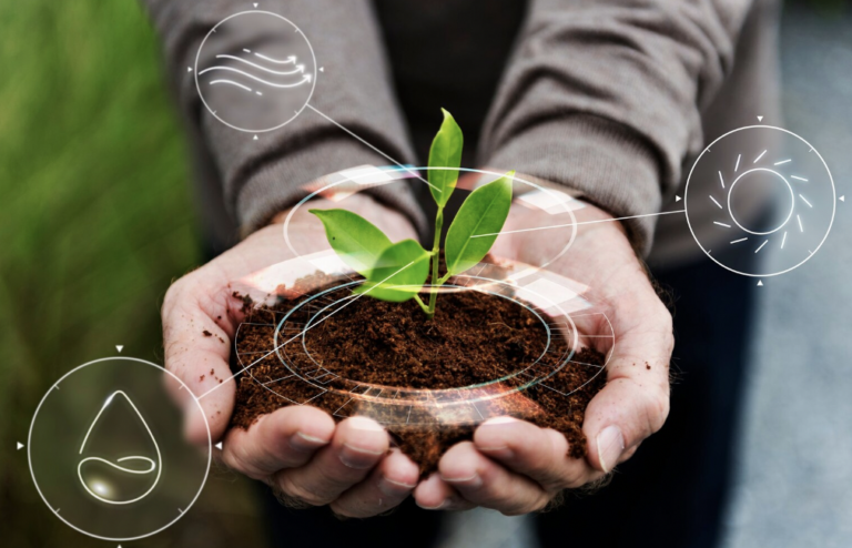 Daniel Madariaga Barrilado habla sobre MABO y MAZO.