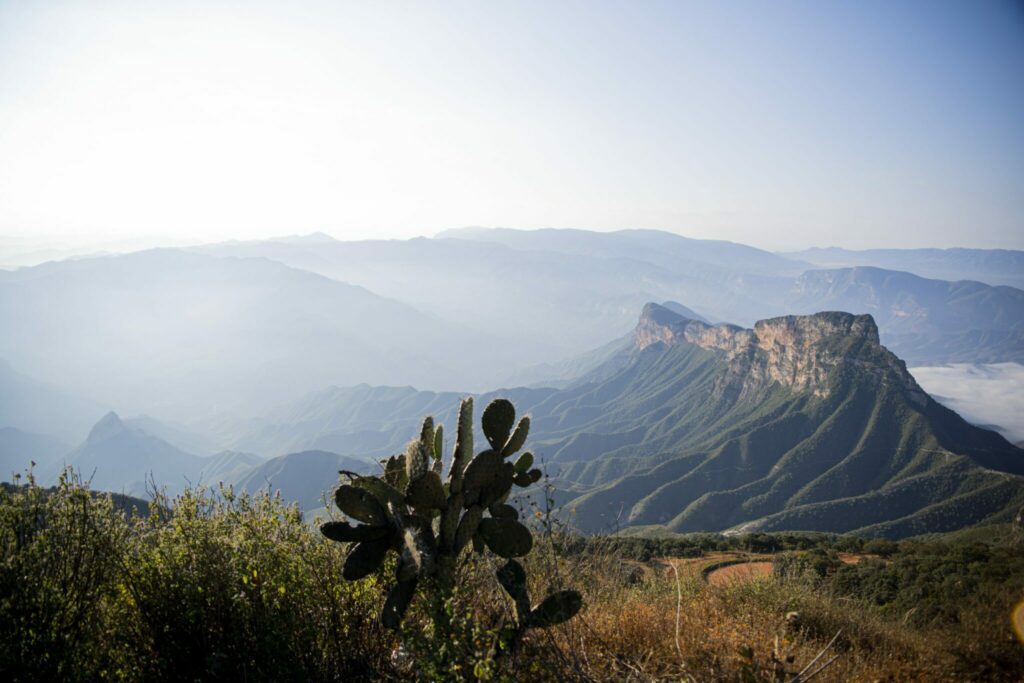 Sierra Gorda queretana registra 77% de los golpes de calor