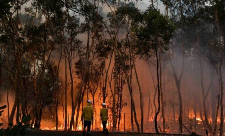 Incendios forestales afectan 749 hectáreas en Querétaro