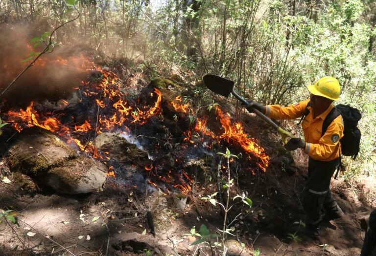 Se duplican incendios forestales en Querétaro
