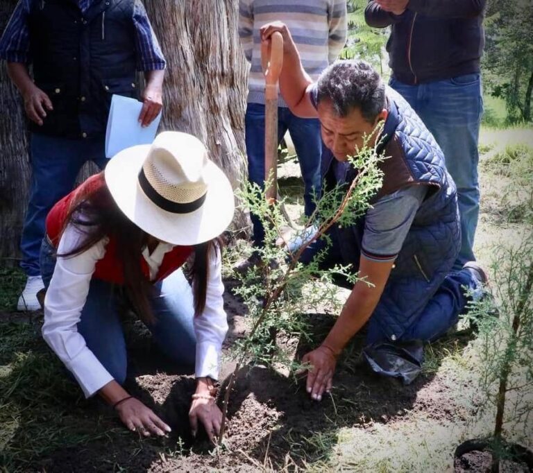 AJEMEX impulsa la reforestación de Puebla con 1200 árboles