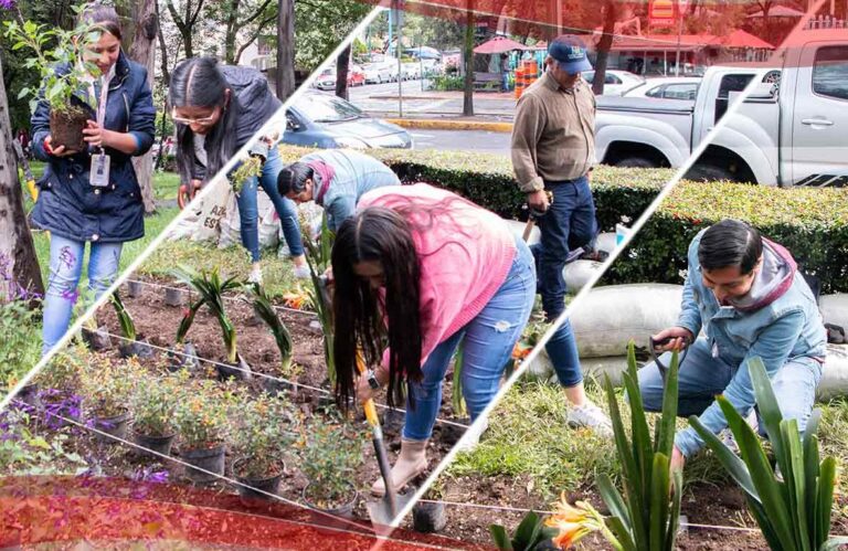 Corporativo Kosmos impulsa áreas verdes con “Adopta un Camellón”