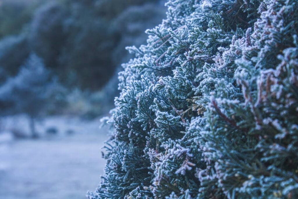 Este es el Pueblo Mágico de Querétaro donde cae nieve