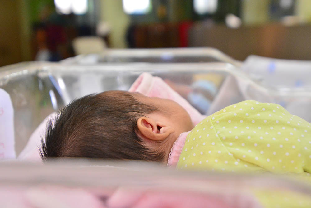 Adopciones en Querétaro: Cifras y Procesos en 2023