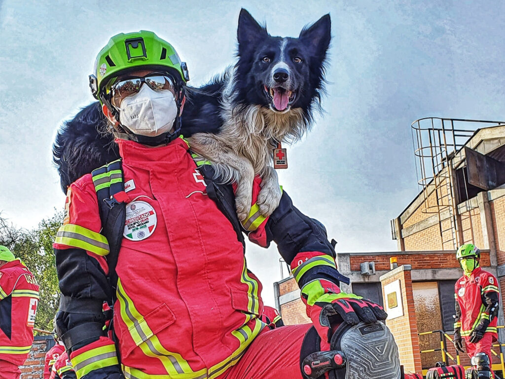 Agresor de Athos y Tango deberá cumplir con más de diez años en prisión