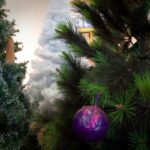 Querétaro enciende la magia navideña con luces y tradiciones