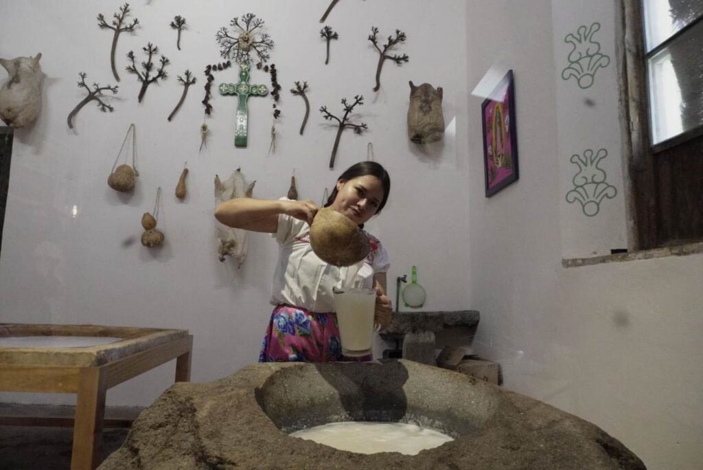 Descubre el Pulque en Querétaro: Historia, Beneficios y Dónde Probarlo