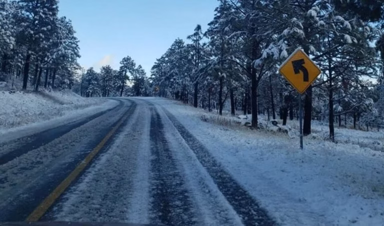 Nieve y frío extremo sorprenden en la Sierra Gorda de Querétaro