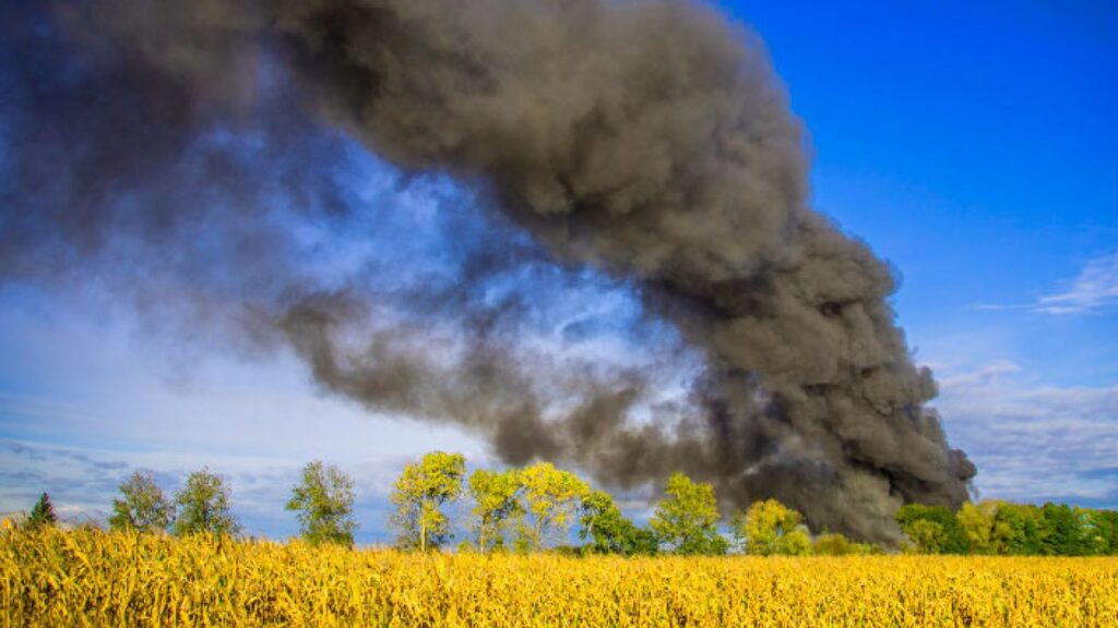 Empresas Fintech lideran esfuerzos para reducir impacto ambiental: Alexis Nickin Gaxiola