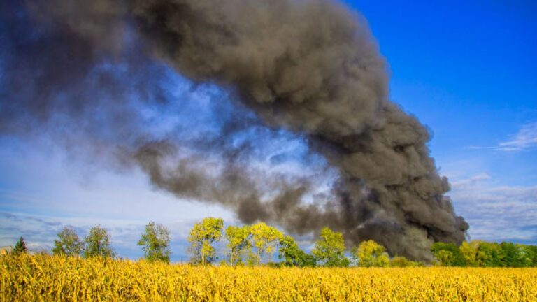 Empresas Fintech lideran esfuerzos para reducir impacto ambiental: Alexis Nickin Gaxiola